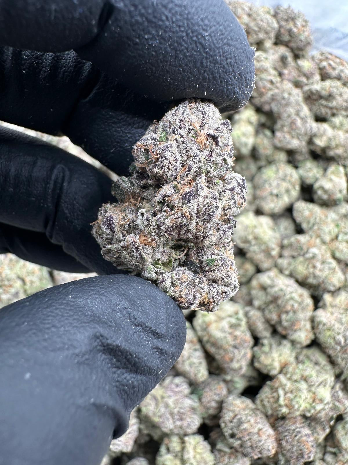 Hashburger