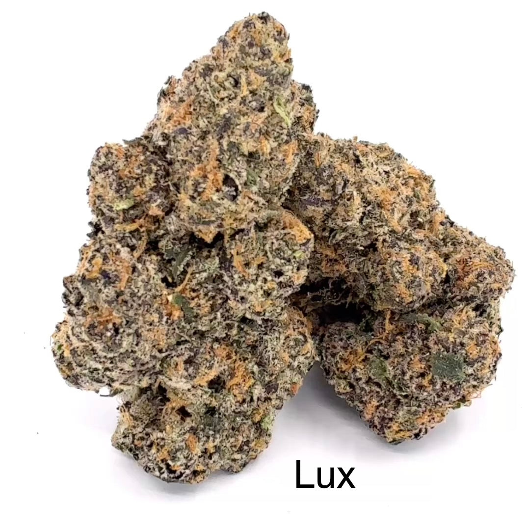 NEW: Lux