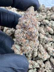 Super Lemon Cherry