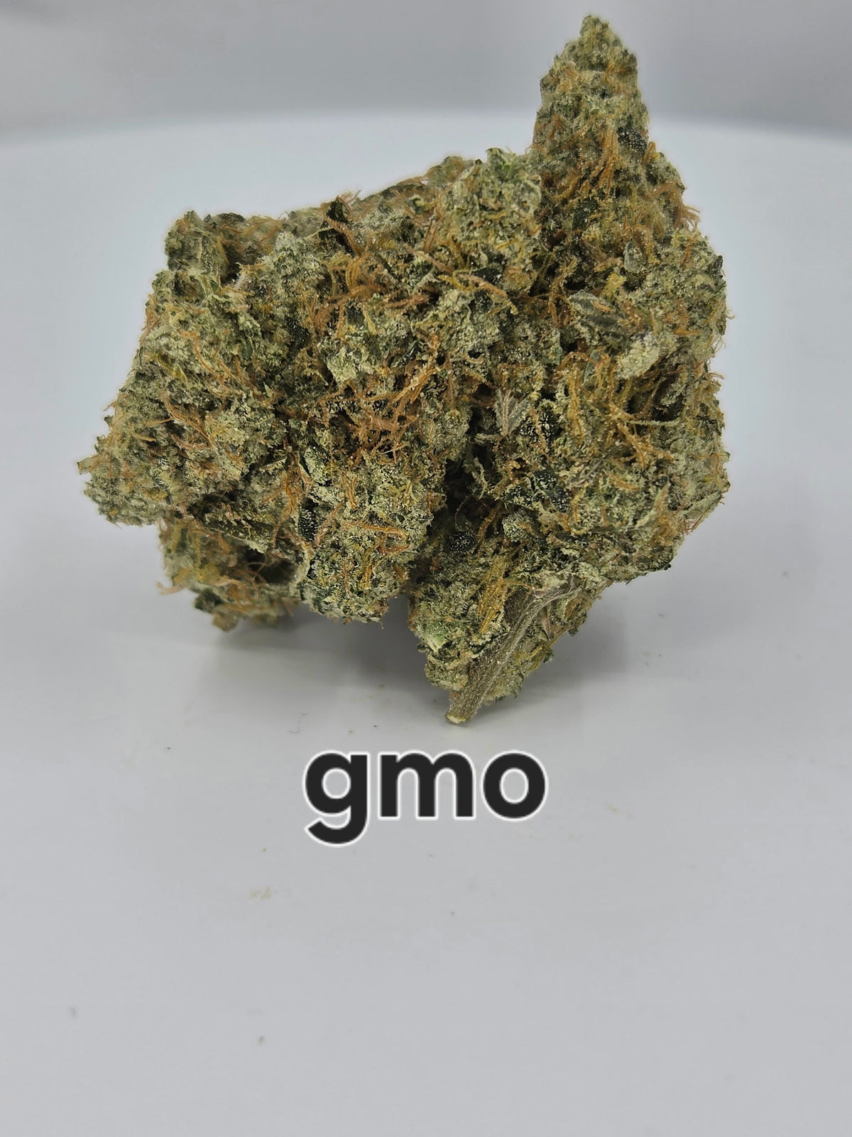 NEW: GMO