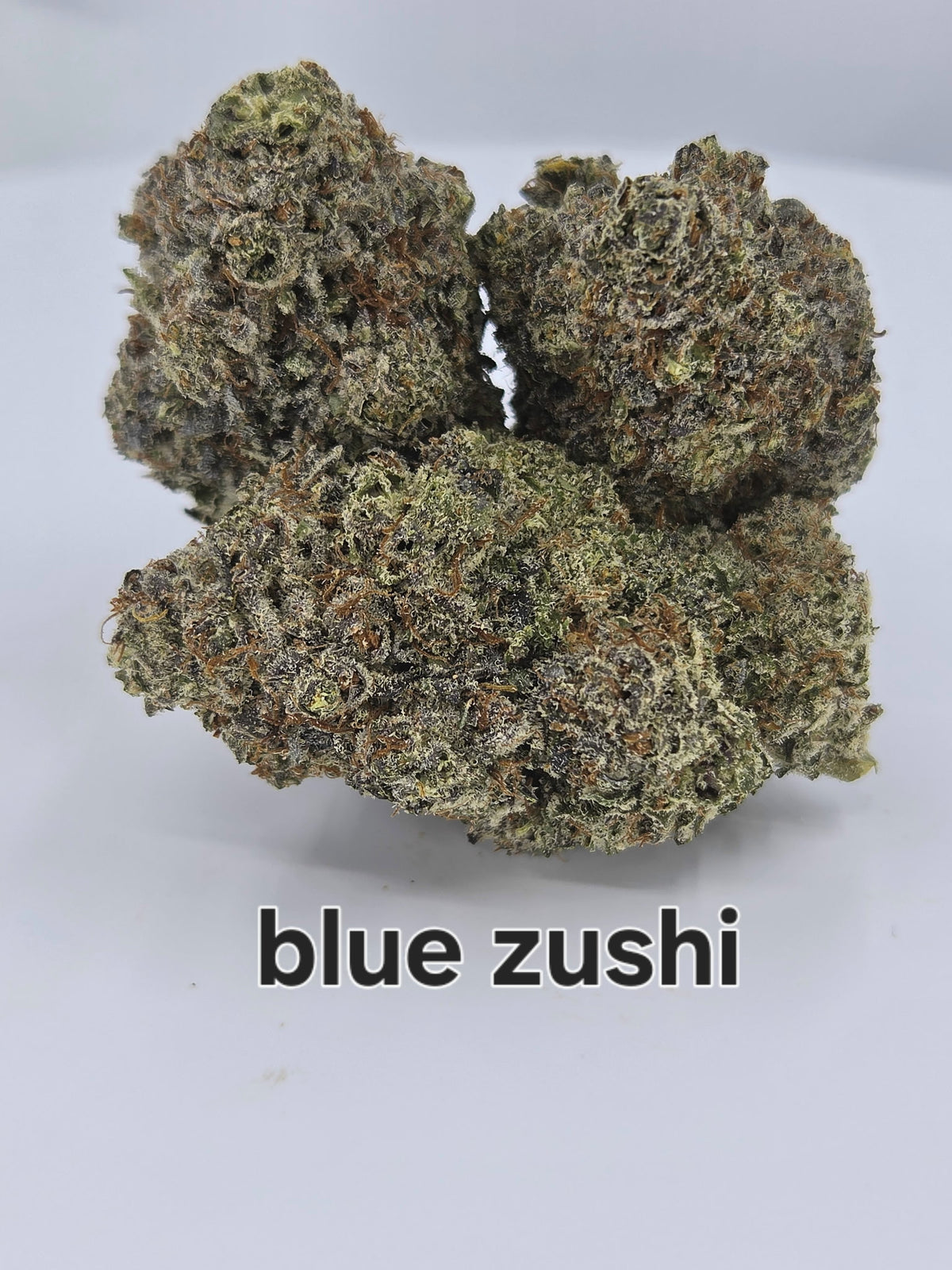 NEW: Blue Zushi