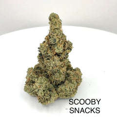 NEW: Scooby Snacks
