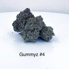 NEW: Gummyz #4