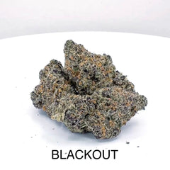 NEW: Blackout
