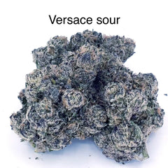 NEW: Versace Sour