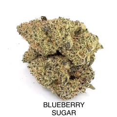 NEW: Blueberry Sugar