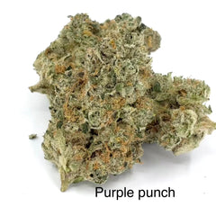 NEW: Purple Punch