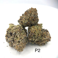 NEW: P2