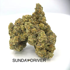 NEW: Sunday Driver