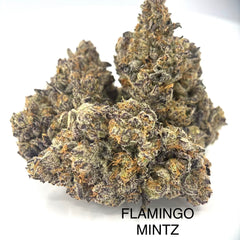 NEW: Flamingo Mintz