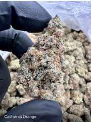 NEW: California Orange