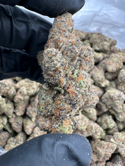 Wonka Barz