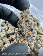 NEW: Shaka Cou De Grais