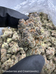 NEW: Strawberries & Cream