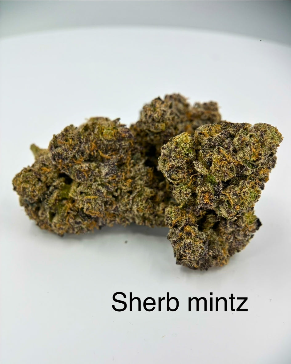 NEW: Sherb Mintz