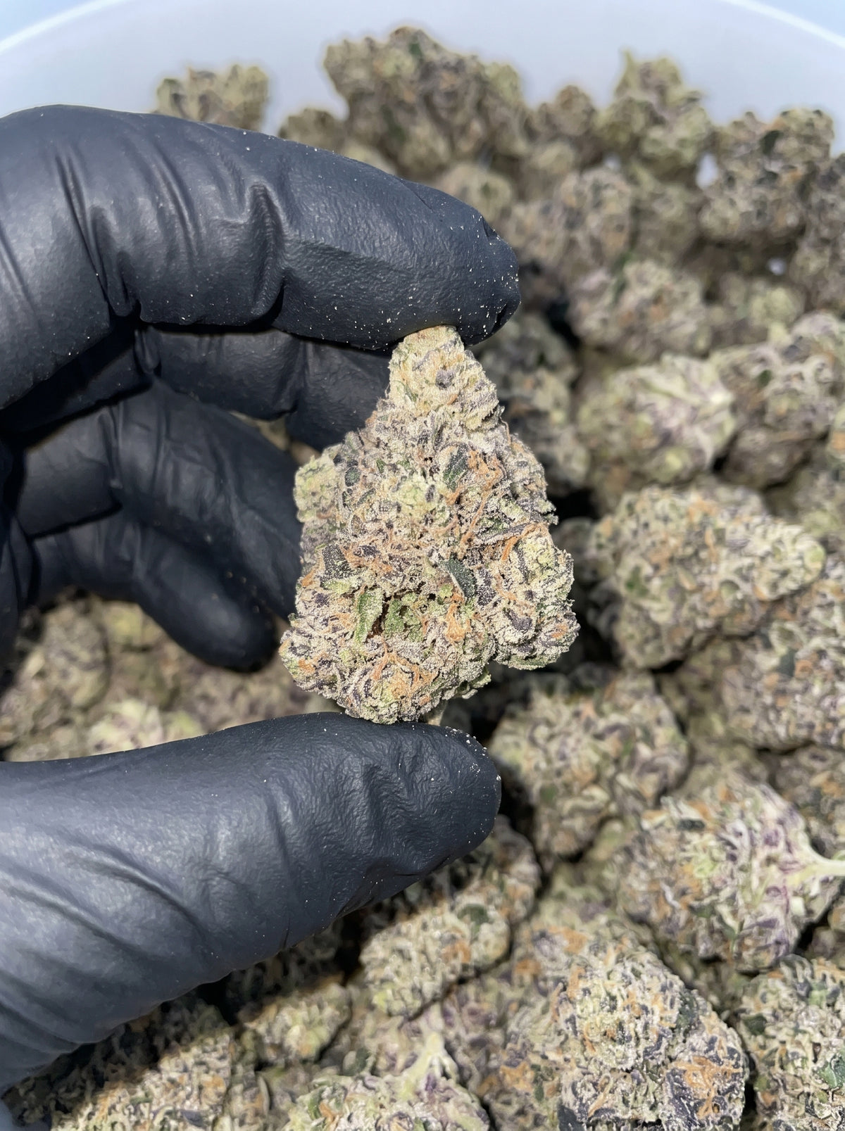 Nuclear Slurpee THCa flower held in hand