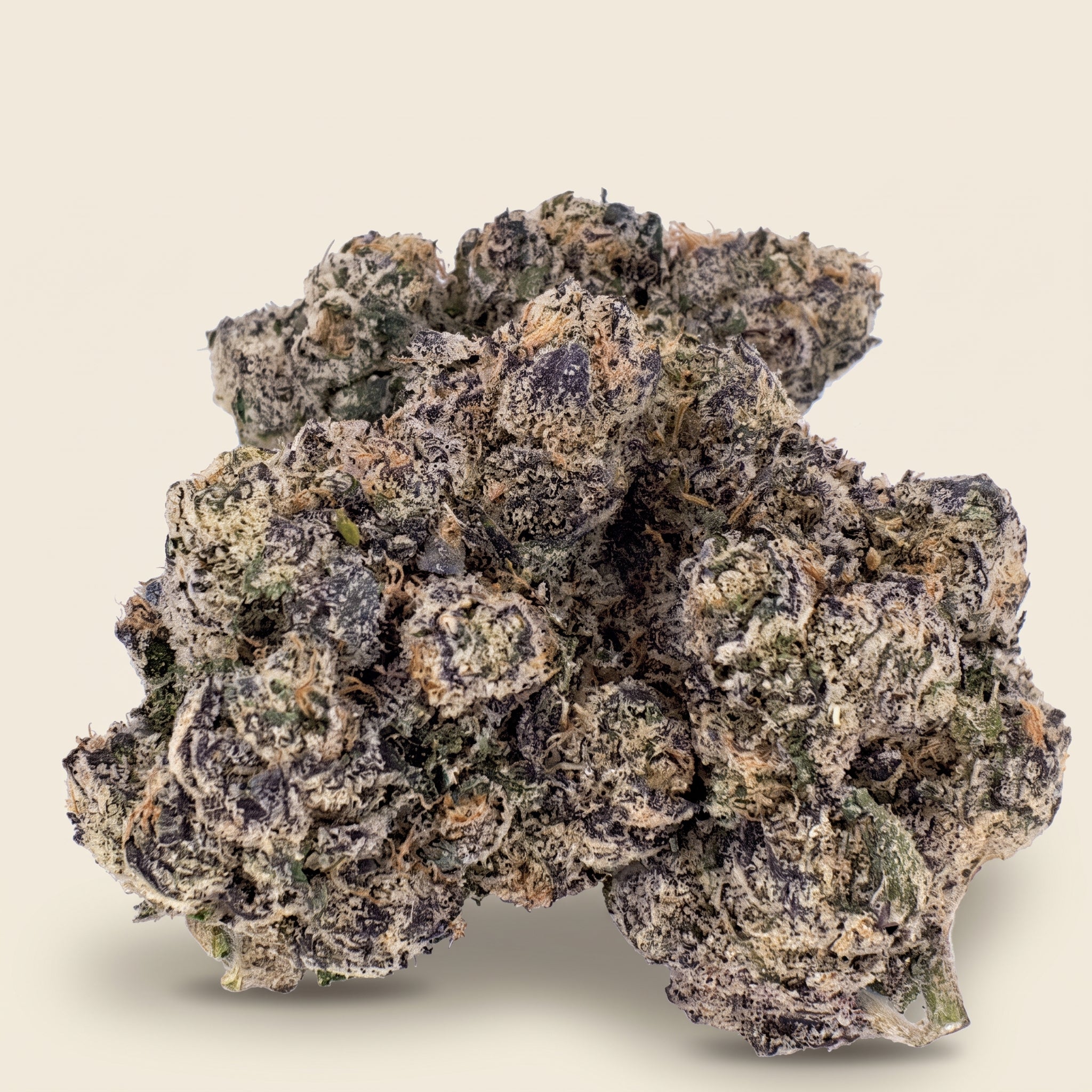 Versace Sour THCa flower